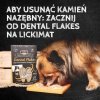 QCHEFS Cheesies do higieny jamy ustnej Przysmaki dentystyczne dla psa
